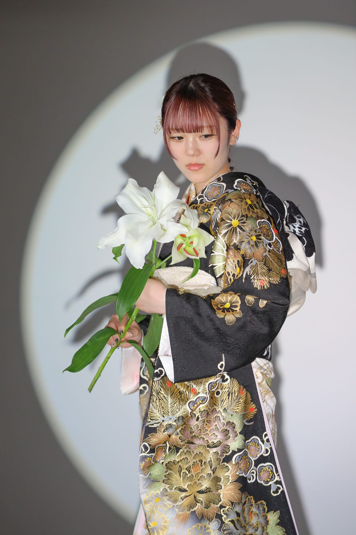 黒地に金の菊の振袖。百合を抱え、壁に丸い光と影が落ちた全身
